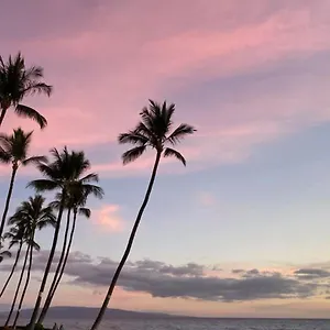 live-da-hi-life-great-beach-and-great-views.hotelsinhawaii.org/